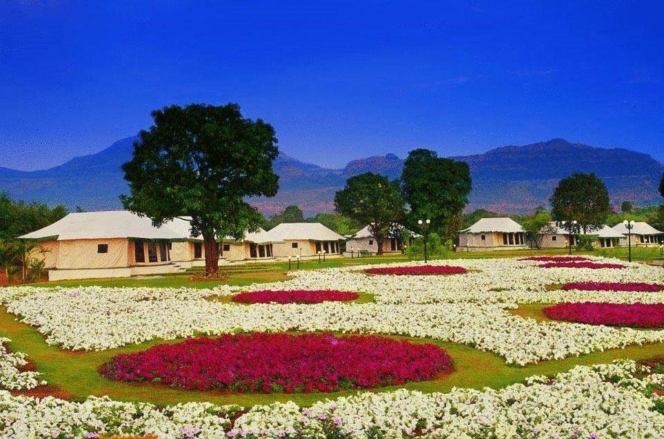 แอมบี แวลเลย์ ซิตี้ Hotel โลนาวาลา ภายนอก รูปภาพ Flower garden in the resort